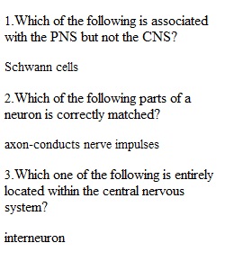 Module 5 Quiz